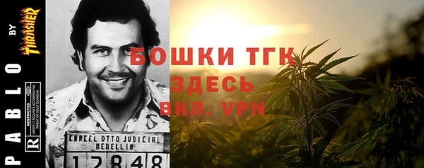 первитин Каменка