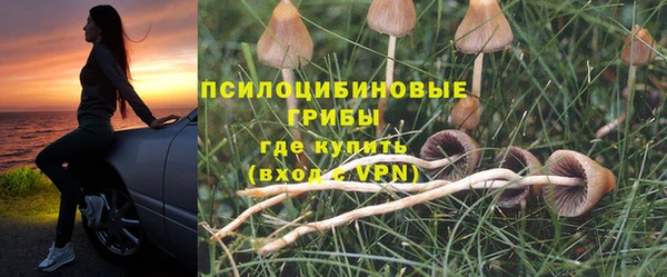 мет Карпинск