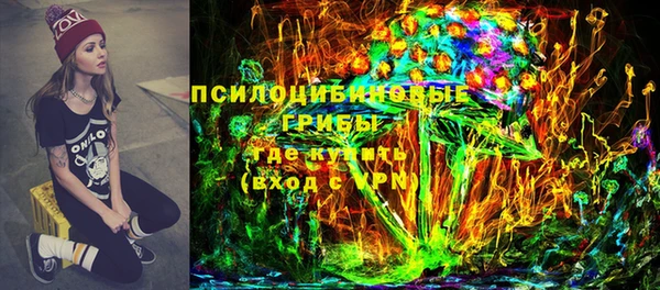 jwh Каменногорск
